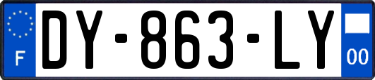 DY-863-LY