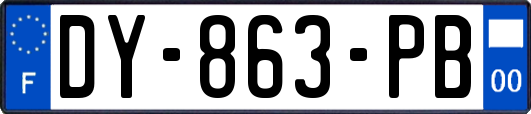 DY-863-PB