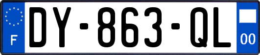 DY-863-QL