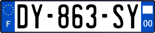 DY-863-SY