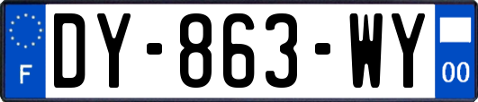 DY-863-WY