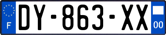 DY-863-XX