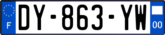 DY-863-YW