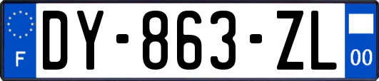 DY-863-ZL