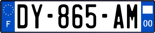 DY-865-AM