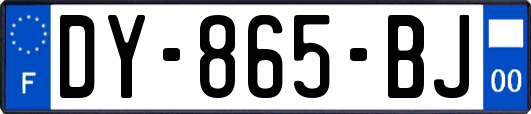 DY-865-BJ