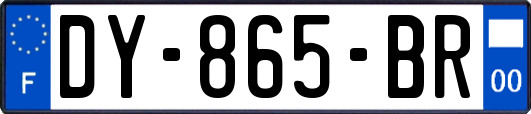 DY-865-BR