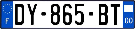 DY-865-BT