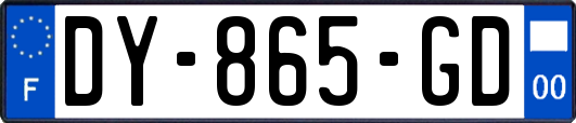 DY-865-GD