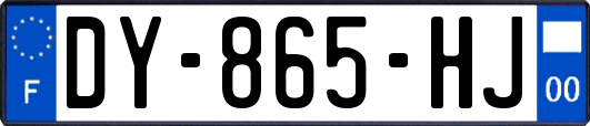 DY-865-HJ