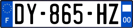 DY-865-HZ