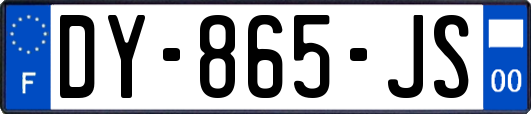 DY-865-JS