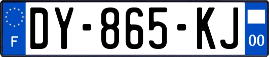 DY-865-KJ