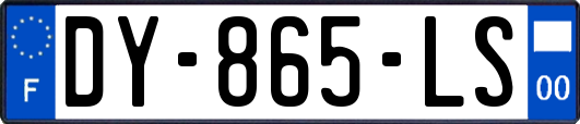 DY-865-LS