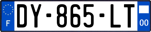 DY-865-LT