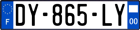 DY-865-LY
