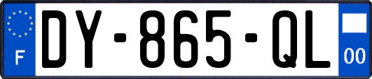 DY-865-QL