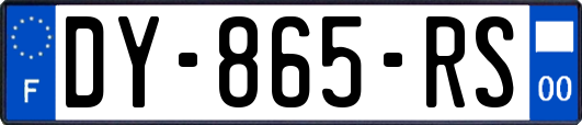 DY-865-RS