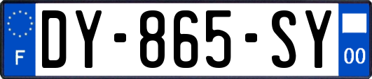 DY-865-SY