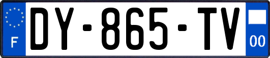 DY-865-TV