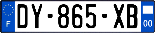 DY-865-XB