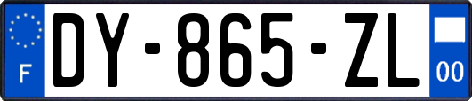 DY-865-ZL