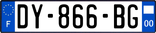 DY-866-BG