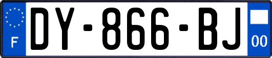 DY-866-BJ