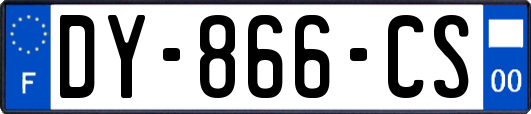 DY-866-CS