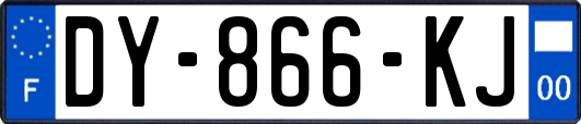 DY-866-KJ