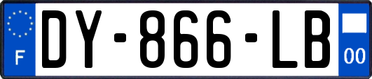 DY-866-LB