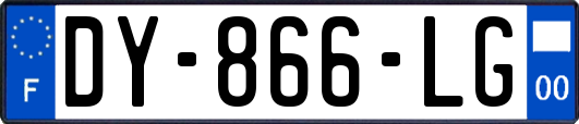 DY-866-LG