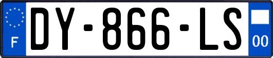 DY-866-LS