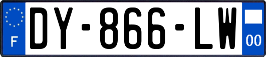 DY-866-LW