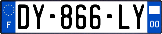DY-866-LY