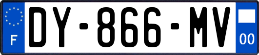 DY-866-MV