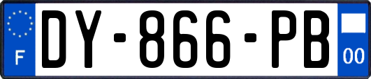 DY-866-PB