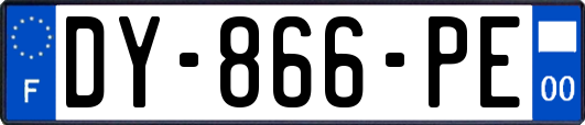 DY-866-PE