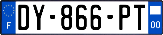 DY-866-PT