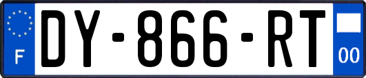 DY-866-RT