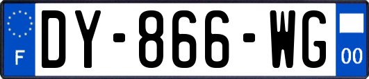 DY-866-WG