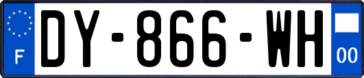 DY-866-WH