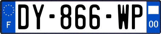 DY-866-WP