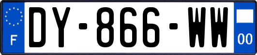 DY-866-WW