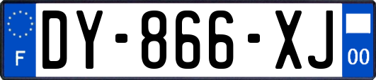 DY-866-XJ