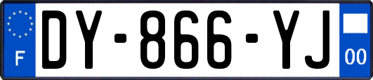 DY-866-YJ