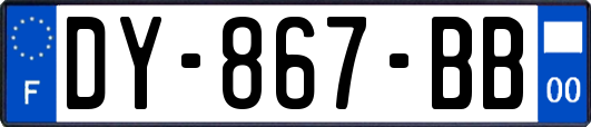 DY-867-BB