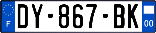 DY-867-BK