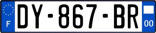 DY-867-BR