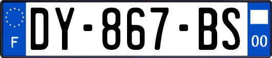 DY-867-BS